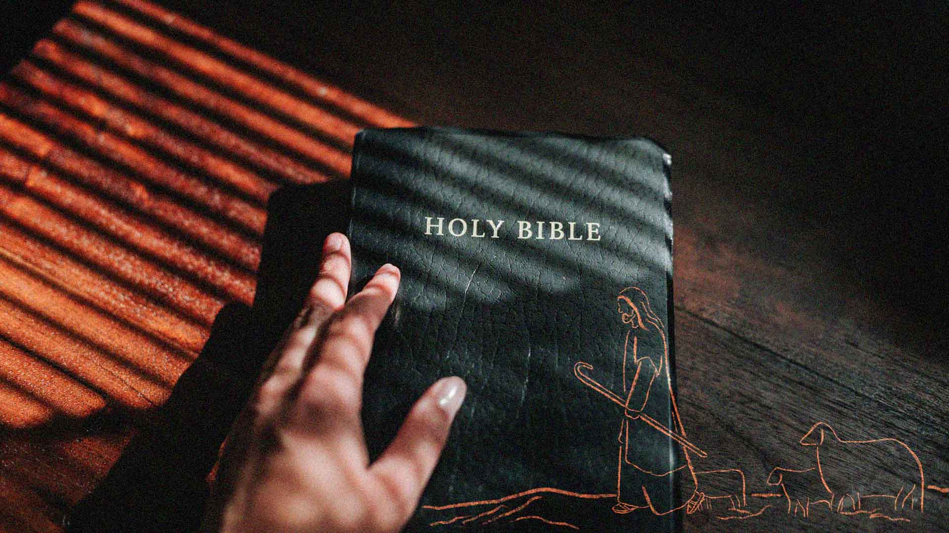 How to Learn to Read the Bible