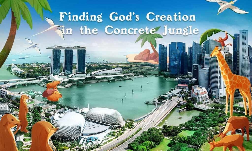 Finding God's Creation in the Concrete Jungle