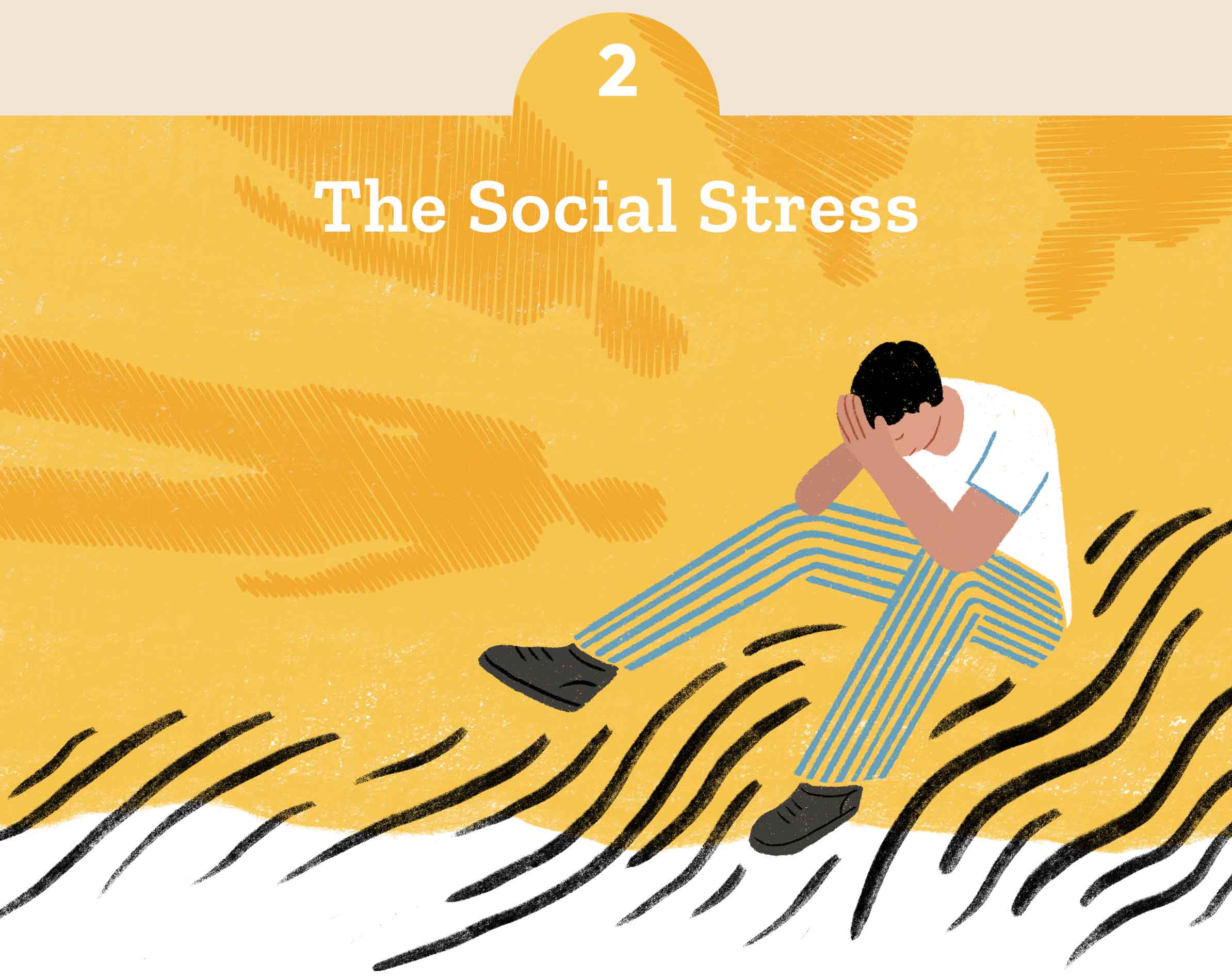 2. The Social Stress