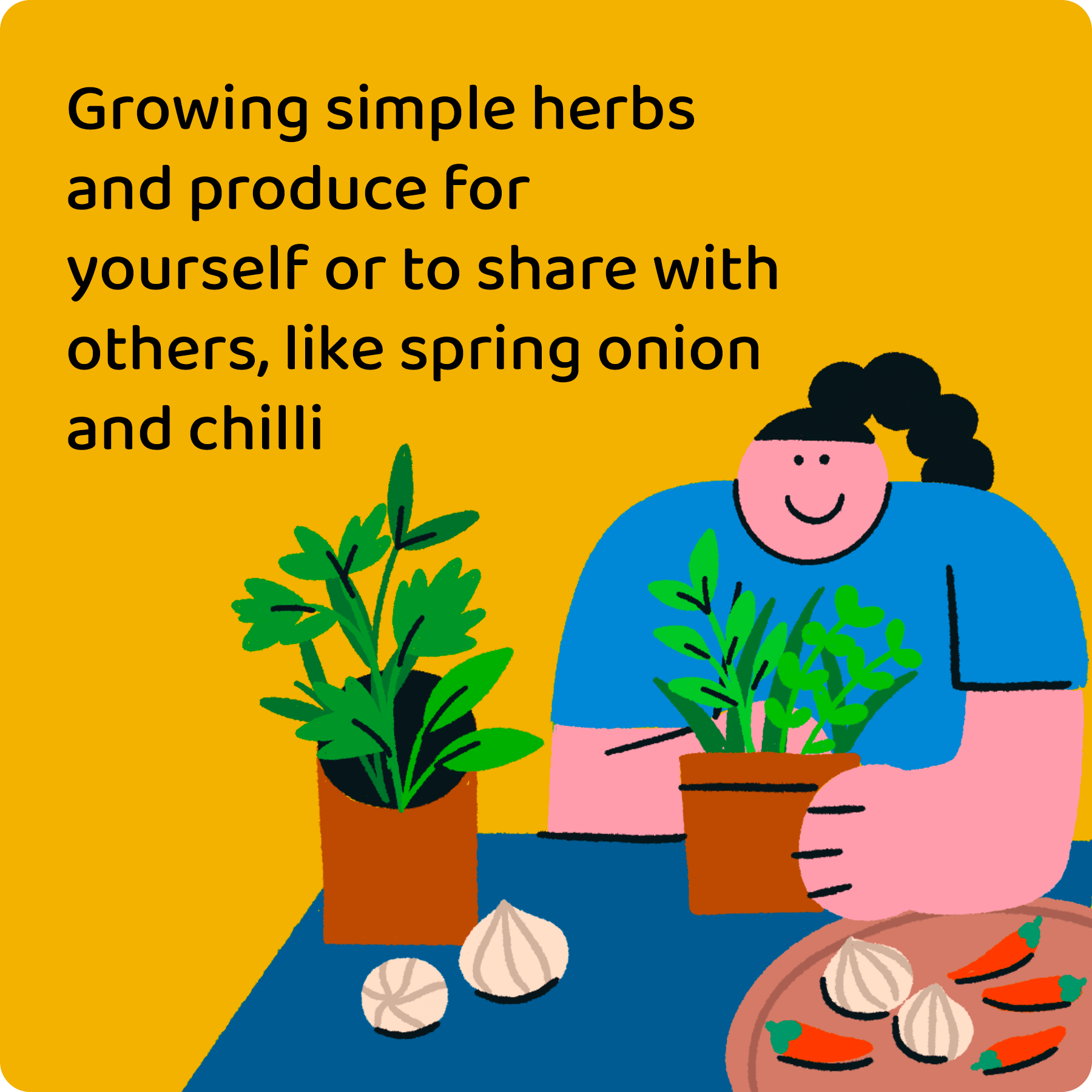 Growing simple herbs and produce for yourself or to share with others, like spring onion and chilli