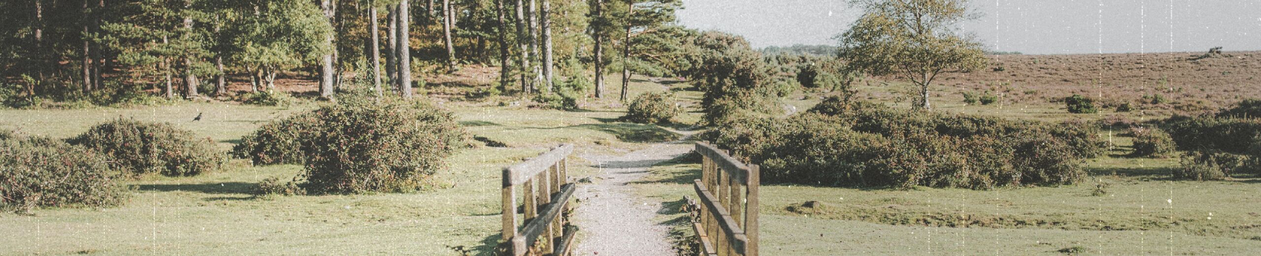 Share Your Faith Our Daily Bread Singapore