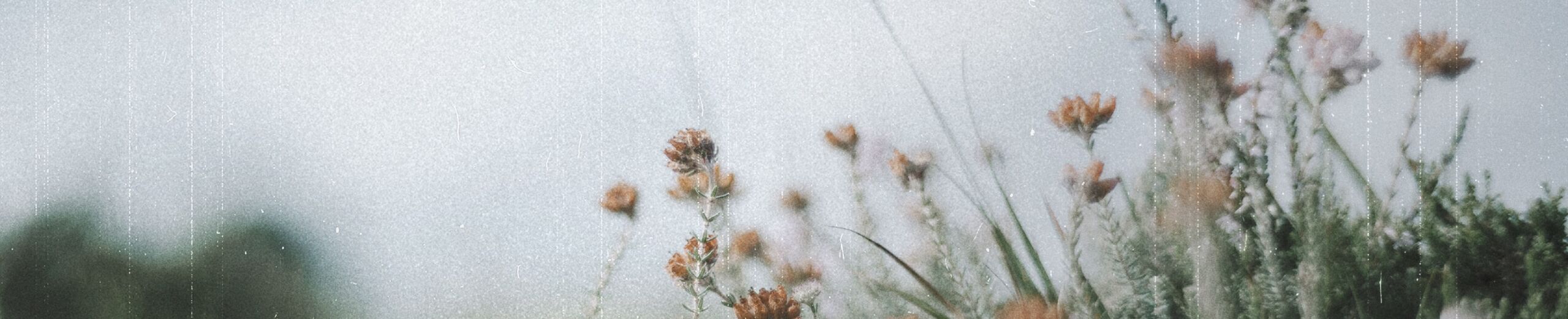 Clothed In Christ Our Daily Bread Singapore