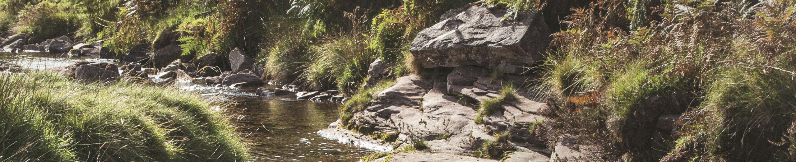 Serving Together In Jesus Our Daily Bread Singapore