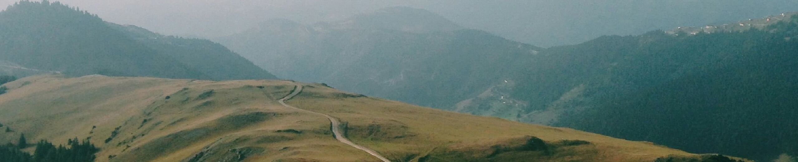 Really Live Our Daily Bread Singapore