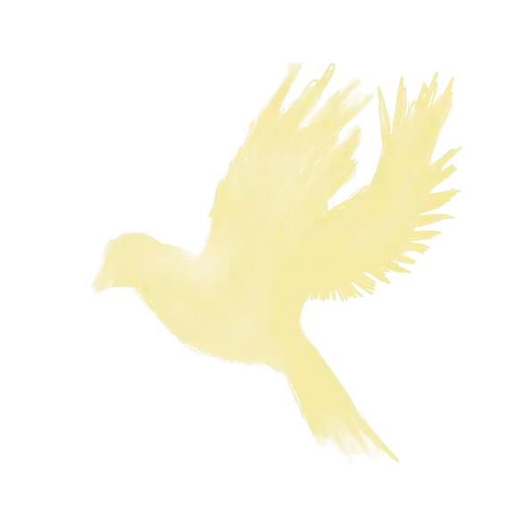 07-dove