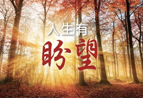 A Story of Hope Simplified Chinese